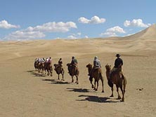 Zentralasien: Mongolei - Kameltrek in den Sanddünen